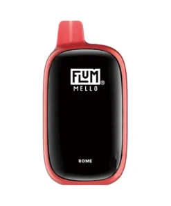 flum mello rome​